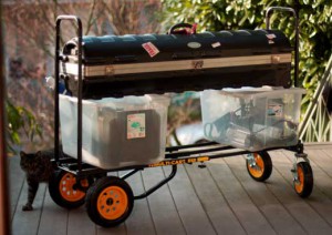 bigcart