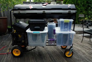 final_cart